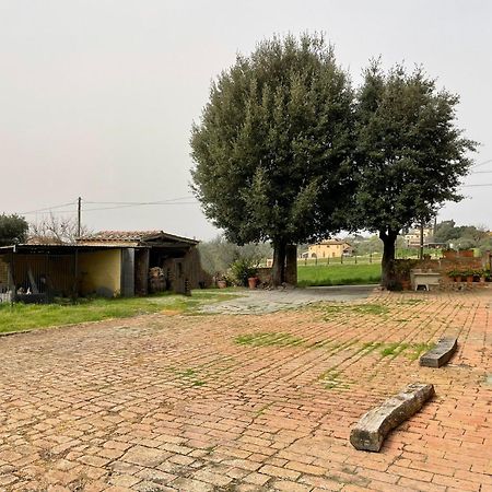 Podere Piazza Siena Dış mekan fotoğraf
