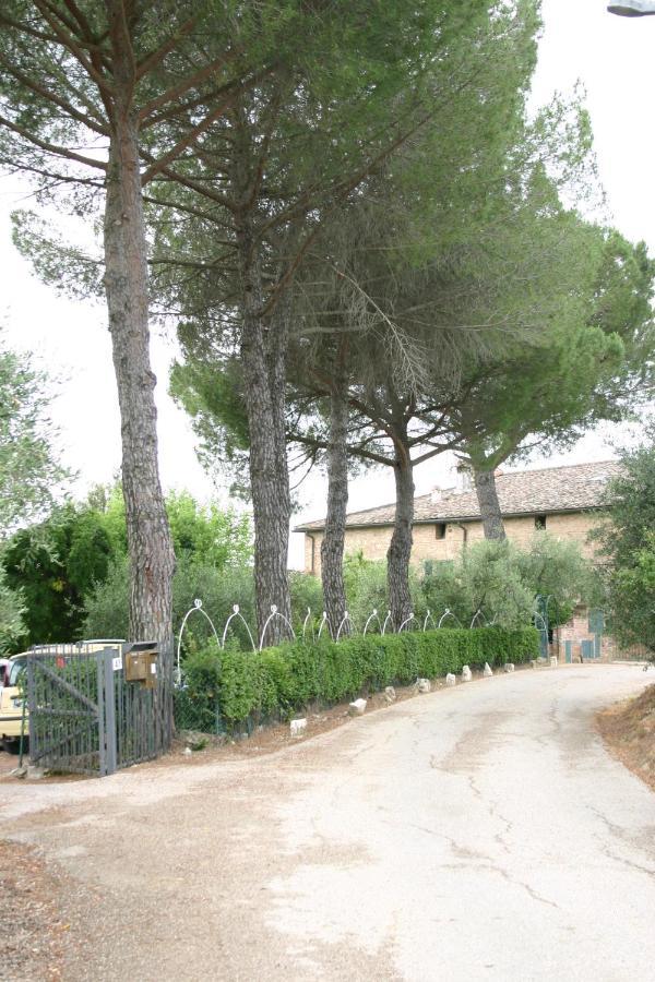 Podere Piazza Siena Dış mekan fotoğraf
