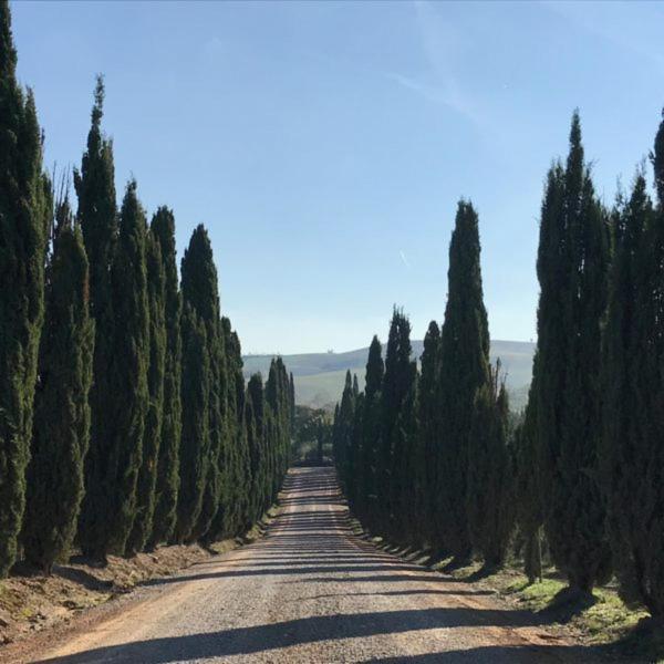 Podere Piazza Siena Dış mekan fotoğraf